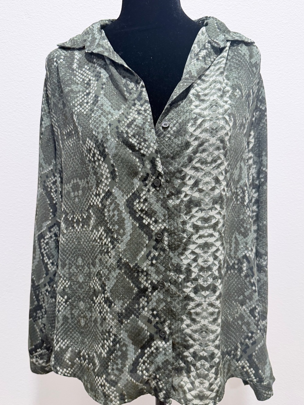 H&M Snake-Print Blouse